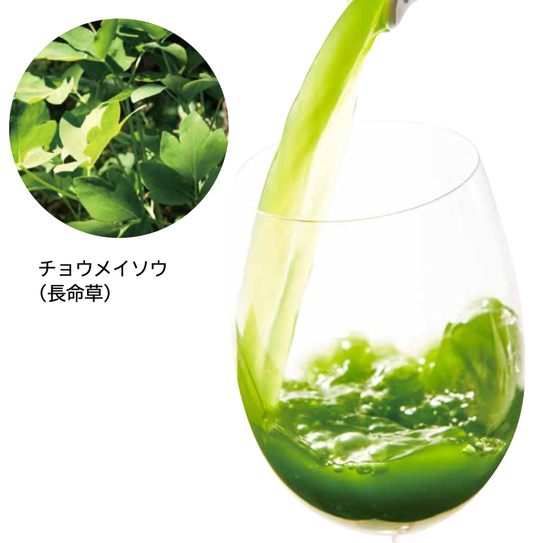 Chomeisou Aojiru – Zumo Verde de la Longevidad de Okinawa (30 Paquetes)